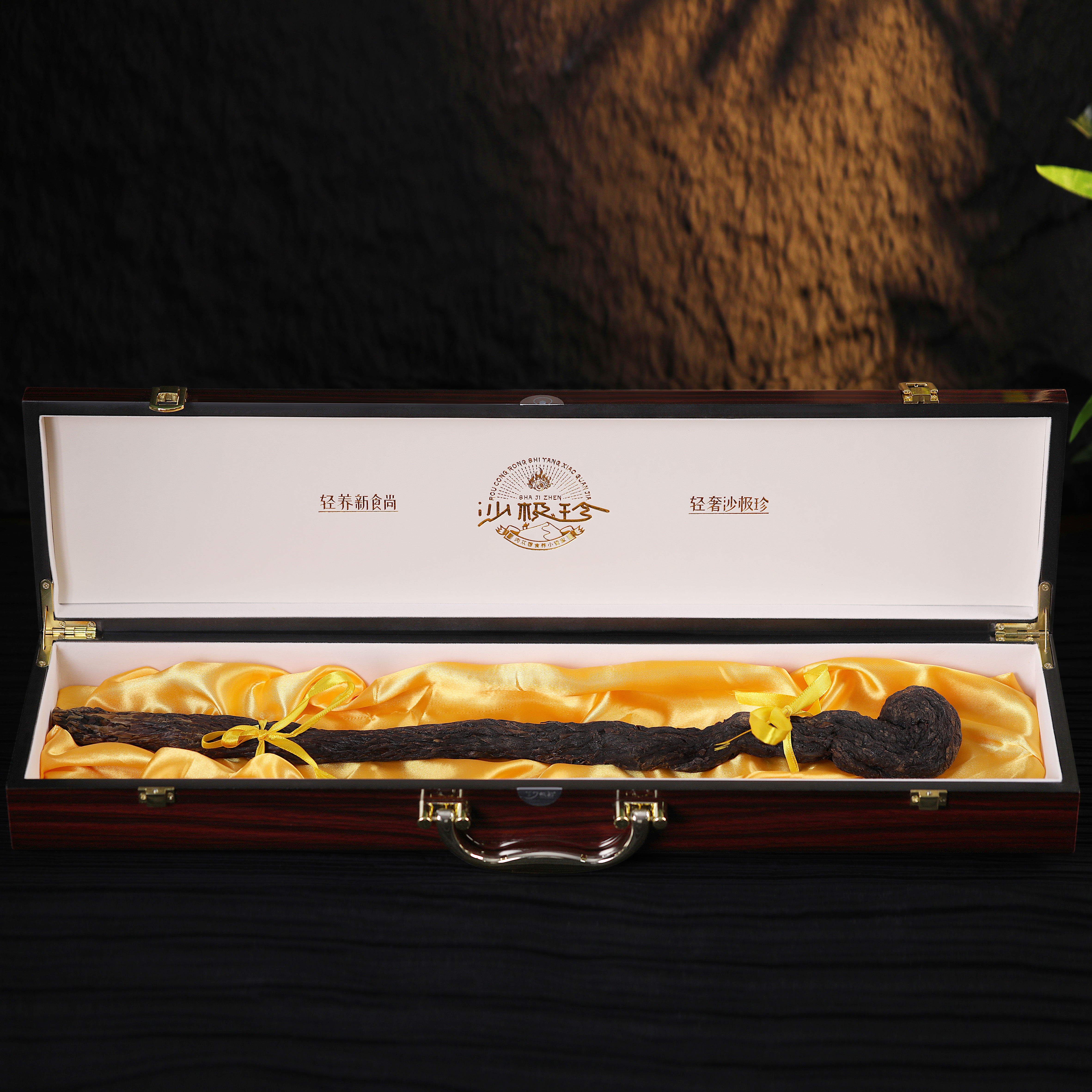 沙极珍龙头肉苁蓉（五星）